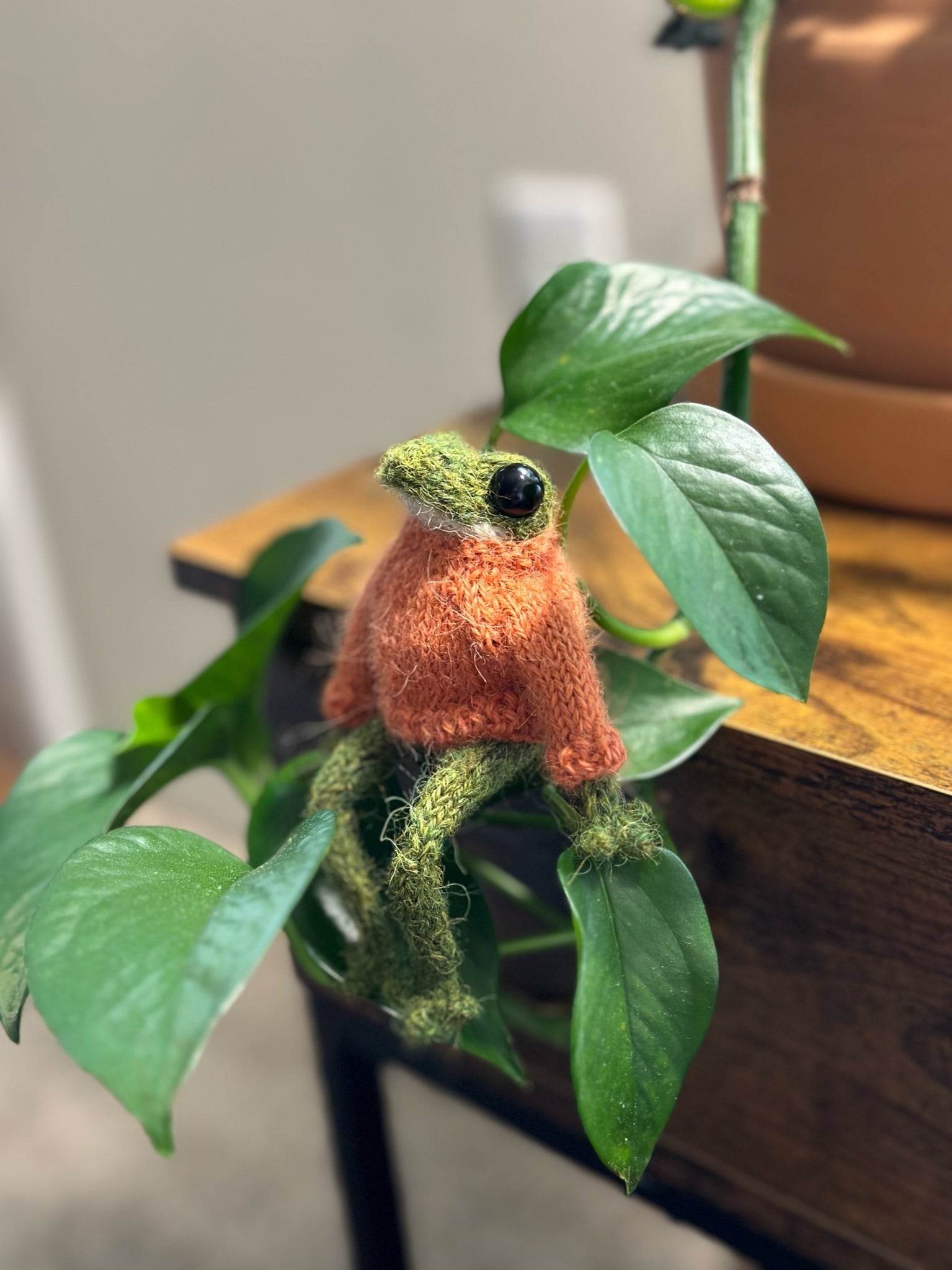 Bob the frog wearing orange sweater