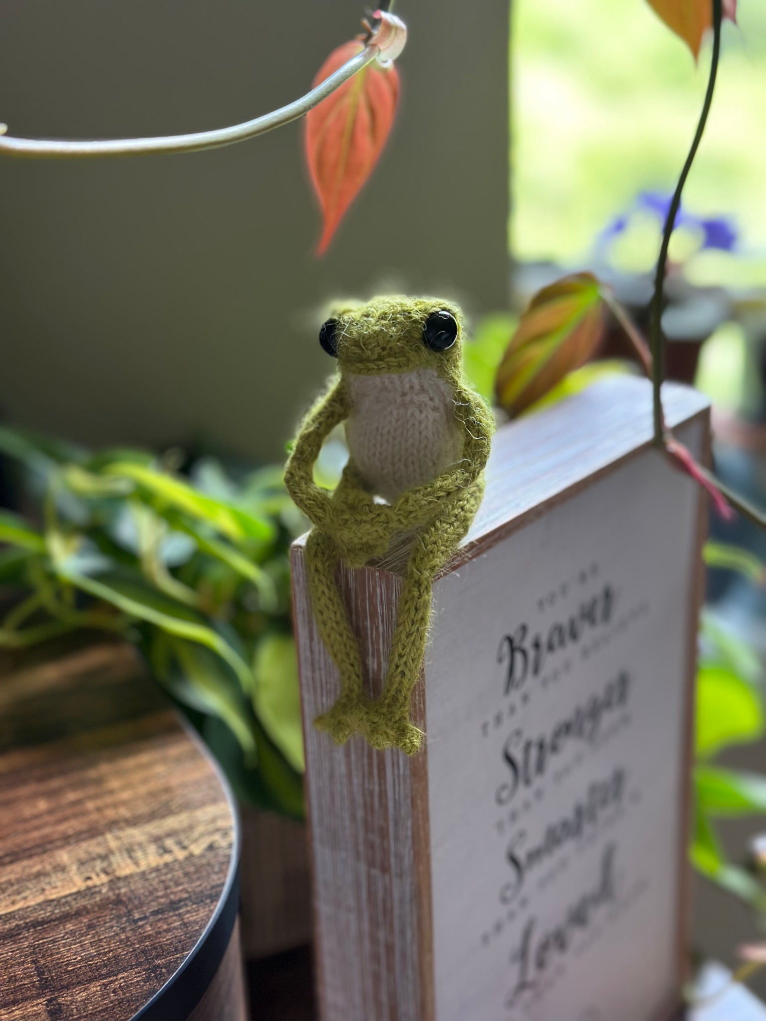 Bob the Frog